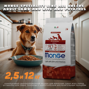 Монге Көкбасшылық