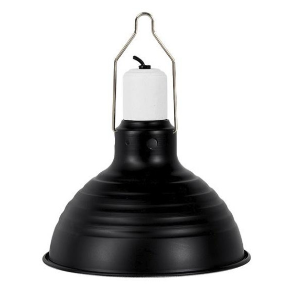 Рефлекторлық лампа Repti-Zoo RL05US: рептилиялар үшін ықтимал жарықтыру