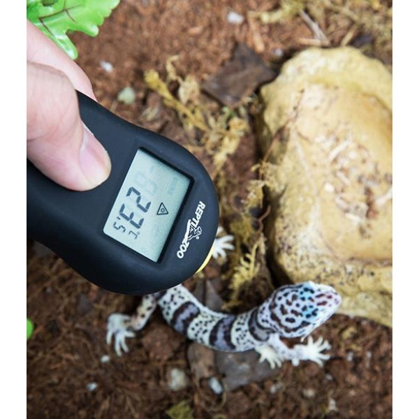 Repti-zoo: Инфракраслы термометр