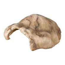 Қамыстық-тегін пішін EHR07S-M-L