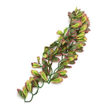 REPTI-ZOO Var marginatum suni bitkisi