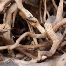 АЗАЛИЯНЫҢ ЖҮРЕГІ