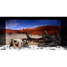 DEKSI Коряга №702