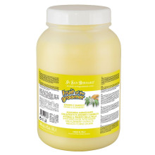 Маска восстанавливающая с противовоспалительным эффектом Iv San Bernarf Fruit of the Groomer Ginger & Elderbery 3 л