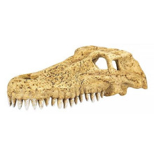 Крокодилдың тасы ERS34S-M-L