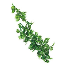 REPTI-ZOO Monstera жапсырмалы растение