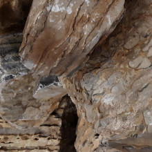 Қайғыларға айналған ағаштық тексеру.