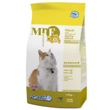 Forza10 mr. Fruit жасырылғанның жасырылғансыз