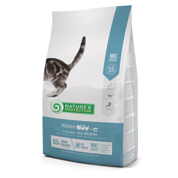 Nature's Protection Kitten - Толық тасқаған, тас балансыз көрме, құсша
