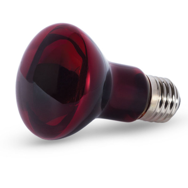 Лампа инфракрасная, 75Вт, Laguna TERRA