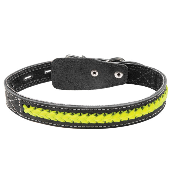 Ошейник двойной кожаный "Коса светоотражающая", 25*580мм, Gamma