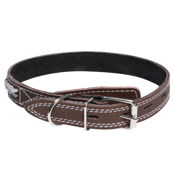 Ошейник двойной кожаный "Коса светоотражающая", 25*580мм, Gamma