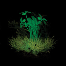 Композиция из светящихся растений, желто-бирюзовая, 120