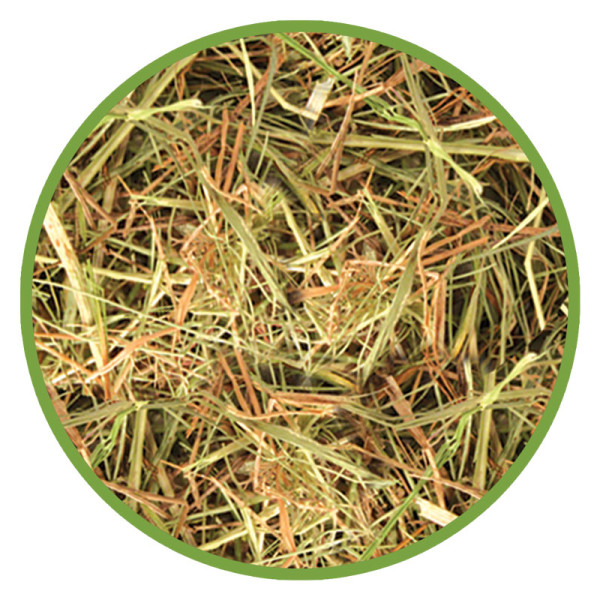 Сено луговое для грызунов и кроликов, 15л, серия LITTLE VILLAGE, Triol