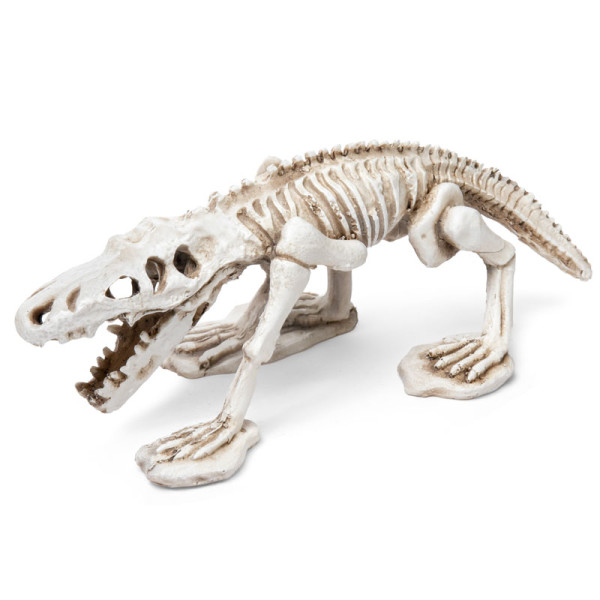 Грот "Ископаемый крокодил", 185*90*75мм, Laguna