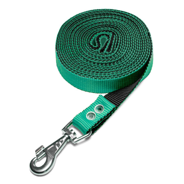 Поводок капроновый для собак, 25*5000мм, Gamma