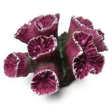 Коралл искусственный "Кауластрея", M, бордово-белый, 90*85*50мм