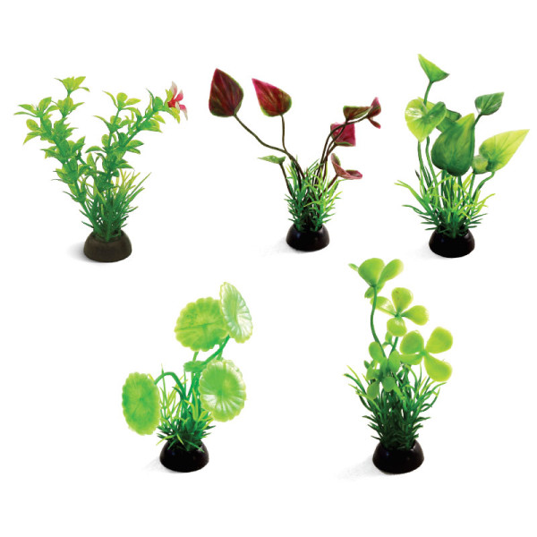 Растения (набор 5шт) разноцветные, 80мм, Laguna