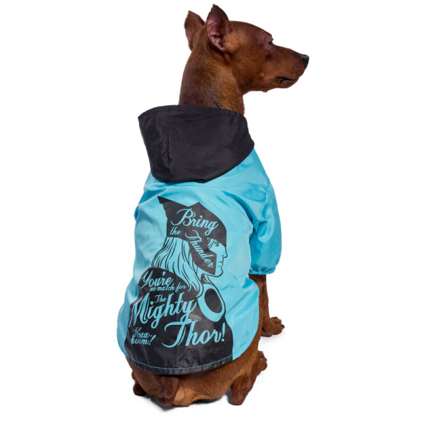 Дождевик-попона Marvel Тор S, размер 25см: Triol-Disney