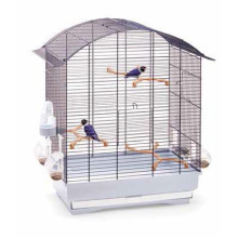 Птикалар үшін клетка Imac Agata, өлшемі 58х33х62.5см.
