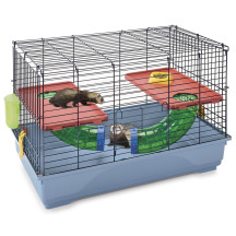 Imac Ferret Flat