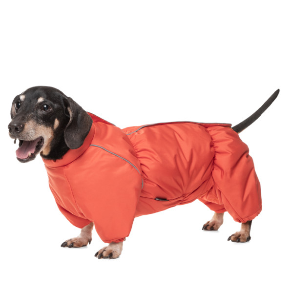 Комбинезон зимний "Такса" терракотовый S, 36см, Gamma