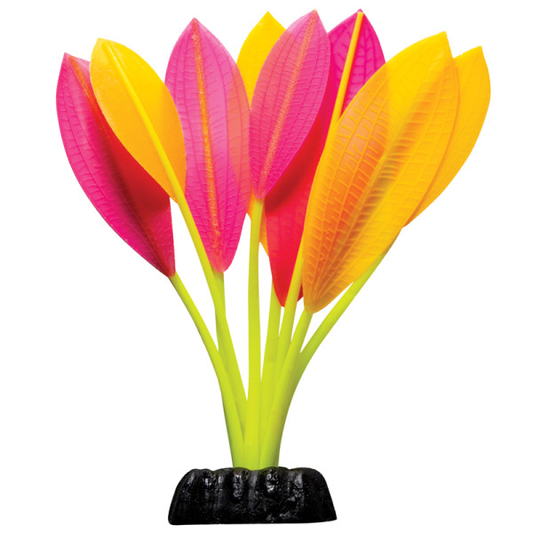 Силиконды жарықтыруға арналған құрылым Криптокорина Бласса, 190мм, Лагуна