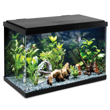 Аквариум Nimbus