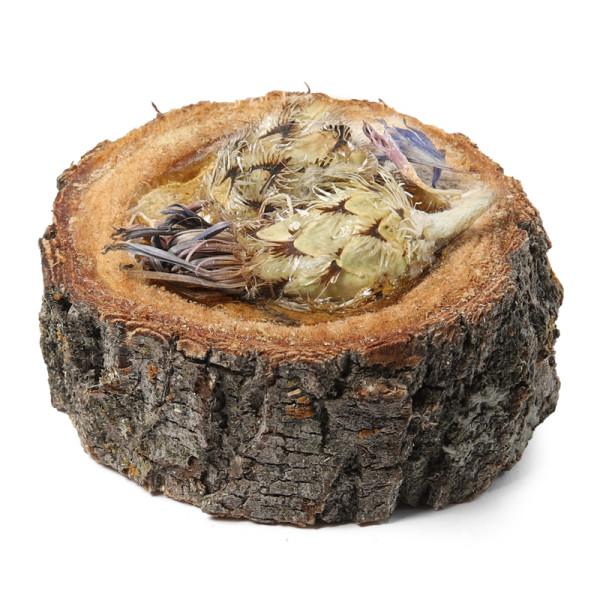 Құйрықтарға арналған ауырлықтардың лес роллары, өркендердің жемісімен (4 шт), 70г, Triol Standard