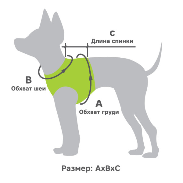 Жилетка-шлейка BE TRENDY бордовы әрекетінде, өлшемі S