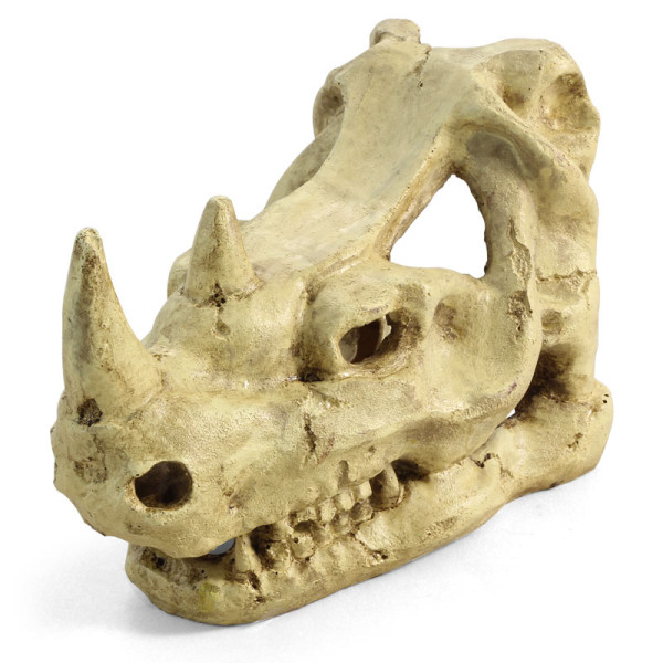 Грот "Череп носорога", 160*100*120мм, Laguna