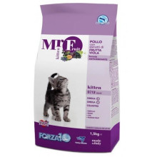 Forza10 mr. Fruit ақша kitten