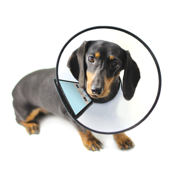 Защитный пластиковый воротник "Забота" серии HYGIENE, Triol