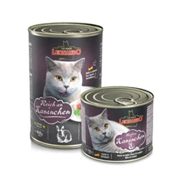 Леонардо айық - көрме көкшілер үшін көрліктік көрме