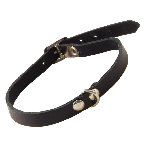 Ошақ-миди с жүзікпен қожалы, 10*300мм, Гамма