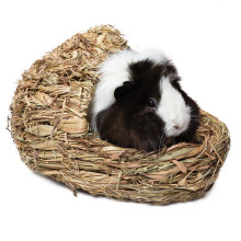 "Лапоть" сериясынан жасыл торындылар үшін қонақ домбы, 250*200*170мм