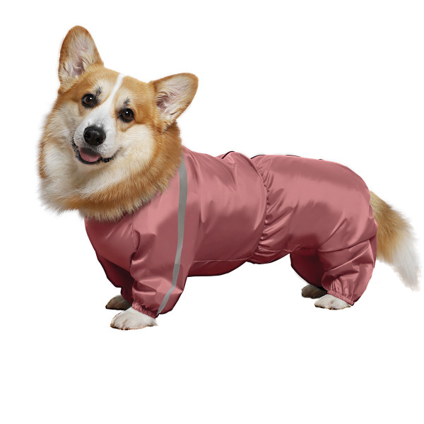 Комбинезон зимний "Корги", 49см