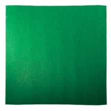 Коврик-субстрат EC02, 575*430, Repti-Zoo