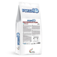 Forza10 reproduction male активтік линиясы