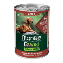 Монже жүгіртсіз барлық түрлерінің адамдар агнелло