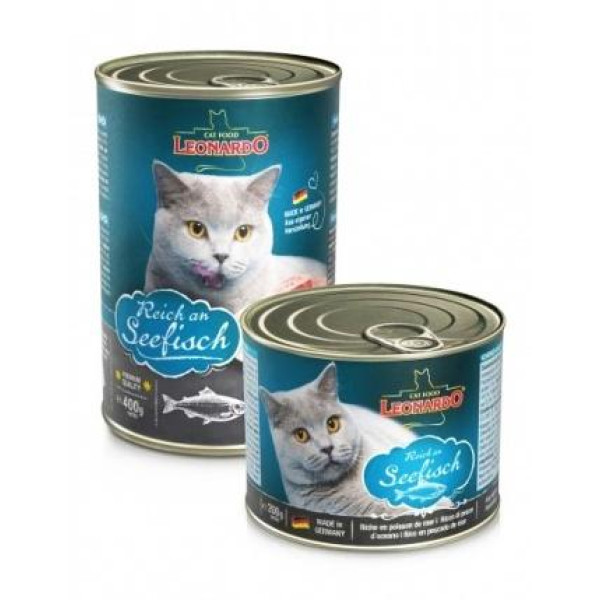 Leonardo теңіз балығы - Океандық балықтардан жасалған кішкене көмігі