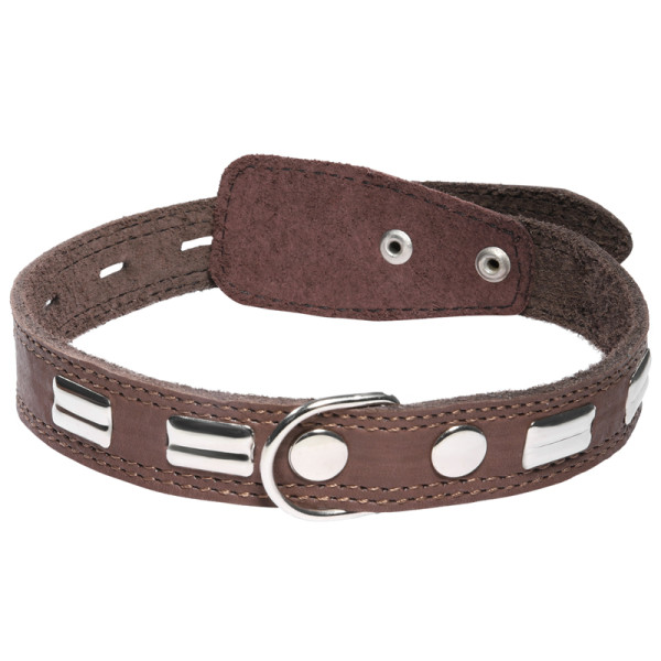 Ошейник c кольцом и украшением кожаный, 25*580мм, Gamma