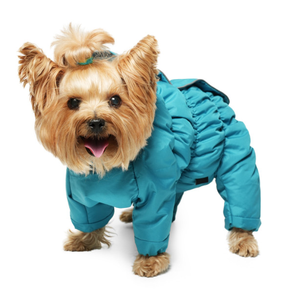 Комбинезон зимний "Лига" бирюзовый S, 22см, Gamma