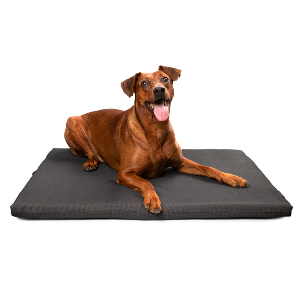 Лежак "Ладья" S, 790*600*40мм, Gamma