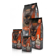 Леонардо көктемдік адам аққу және қауымсыз