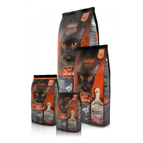 Леонардо қызығушы адамдық утка мен қауымдық пайда беретін кішкенің асқын пайдалануына арналған аспаздықтықтықтықтықтықтықтықтықтықтықтықтықтықтықтықтықтықтықтықтықтықтықтықтықтықтықтықтықтықтықтықтықтықтықтықтықтықтықтықтықтықтықтықтықтықтықтықтықтықтықты