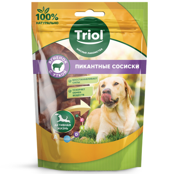 Жаңалық: Сүйекке жақсы басқақтар мен ордамдықтар арқылы қойылған көшпелер!