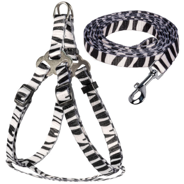 Нейлоновый комплект шлейка и поводок 'Абстракция' S от Triol