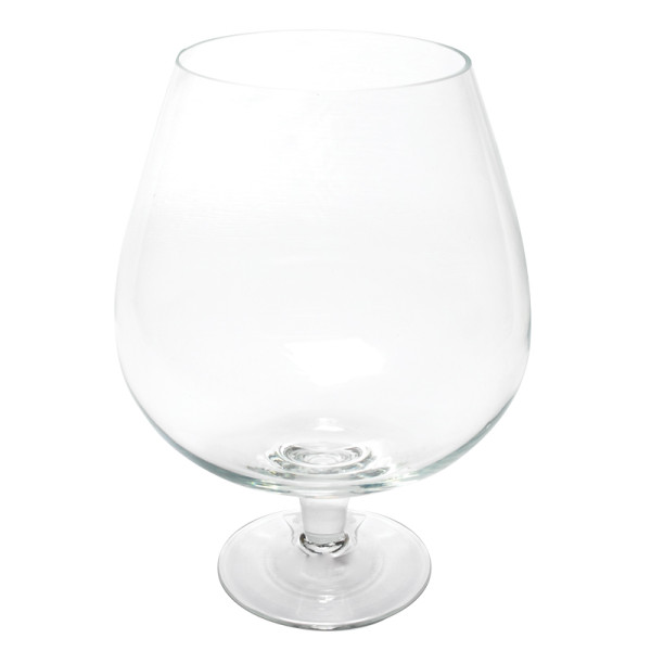 Аквариум-бокал: балықтарды жақсы көретіндерге толық таңдау!