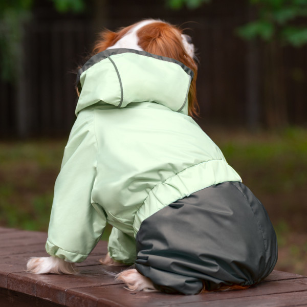 Комбинезон-дождевик "Киви" S, 22 см, Gamma